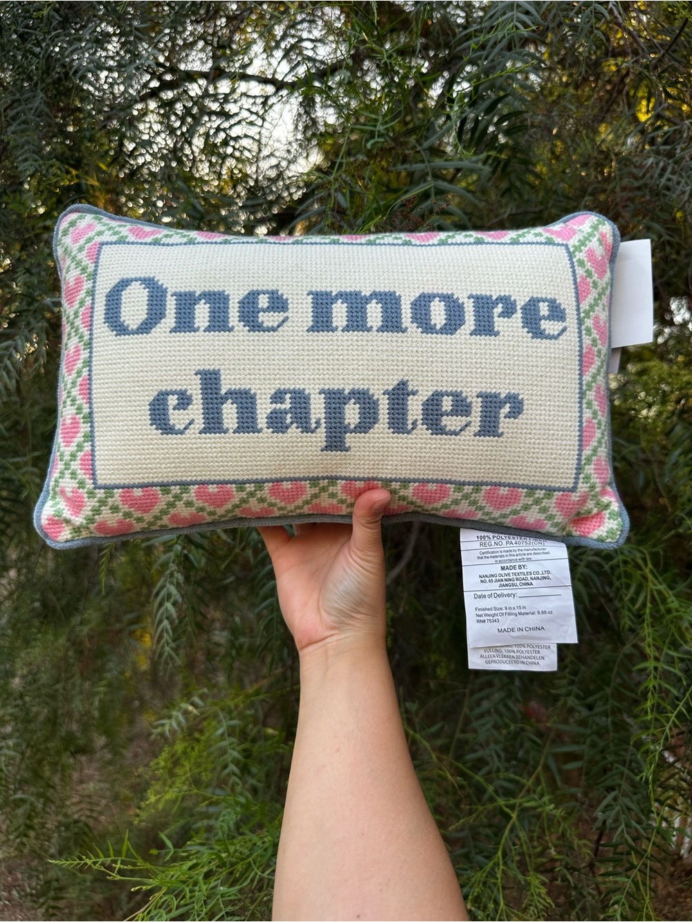One More Chapter - Needlepoint Decorative Pillow - Cupcakes & Cashmere NWT